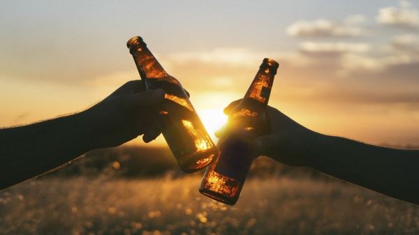 <br />
                    Минсельхоз РФ получит от пивоваренных компаний идеи по развитию хмелеводства<br />
                